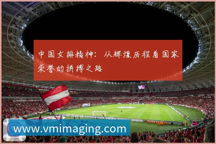 登录器 登录器